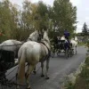 Szüreti felvonulás 2015