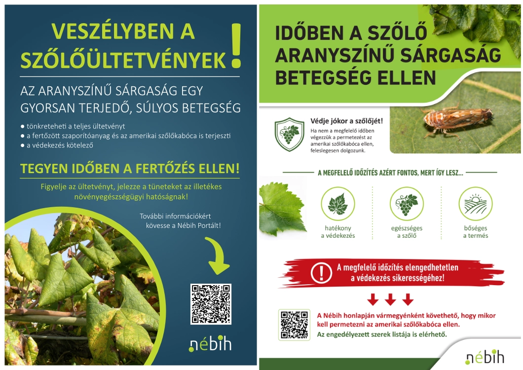 szoloveszelyfelhivas260722